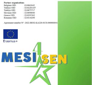 MESI4SEN Curriculum Framework in Romanian Has Been Developed